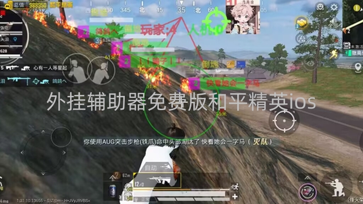 外挂辅助器免费版和平精英ios-使用免费和平精英iOS版作弊工具后果多严重?隐私财产皆受损