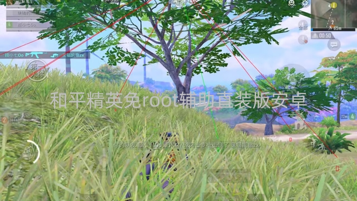 和平精英免root辅助直装版安卓-和平精英免root辅助直装版介绍,这些风险你知道吗?